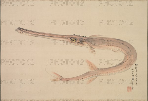 Needlefish (Yagara), 1870. Raisho Nakajima (Japanese, 1796-1871). Hanging scroll; ink and color on paper; painting only: 42.2 x 62.5 cm (16 5/8 x 24 5/8 in.); including mounting: 133.4 x 80.7 cm (52 1/2 x 31 3/4 in.).