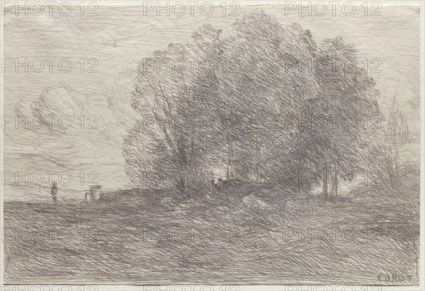 Group of Trees, 1858. Jean Baptiste Camille Corot (French, 1796-1875). Cliché-verre; sheet: 15.5 x 22.9 cm (6 1/8 x 9 in.)