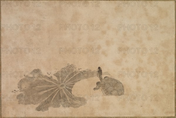 Turtle in a Lotus Pond, 18th century. Japan, Edo period (1615-1868). Hanging scroll; ink on paper; overall: 46.4 x 108.6 cm (18 1/4 x 42 3/4 in.); painting only: 20 x 30 cm (7 7/8 x 11 13/16 in.).