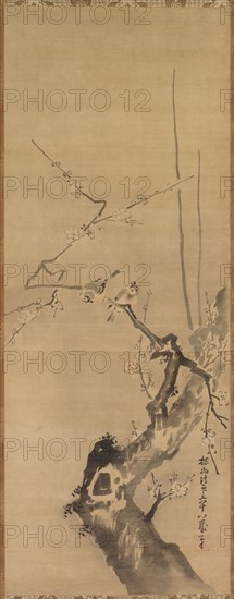 Sparrows on Blossoming Plum, 17th century. Attributed to Kano Tan’yu (Japanese, 1602-1674). Hanging scroll; ink and slight color on silk; painting only: 97.5 x 37.5 cm (38 3/8 x 14 3/4 in.); including mounting: 181.9 x 54 cm (71 5/8 x 21 1/4 in.).