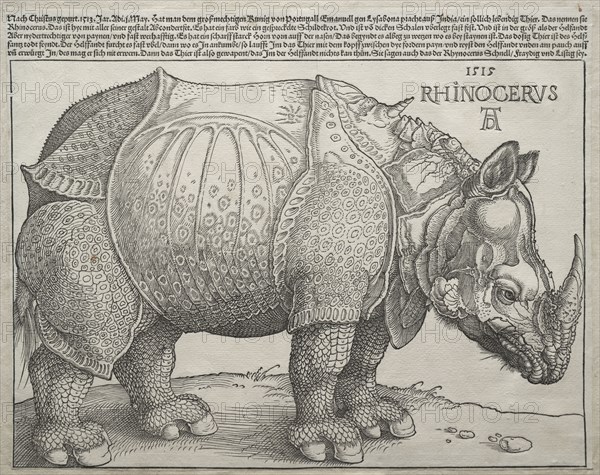 The Rhinoceros, 1515. Albrecht Dürer (German, 1471-1528). Woodcut; image: 23.8 x 30.1 cm (9 3/8 x 11 7/8 in.)