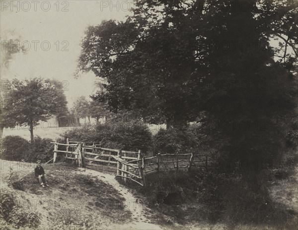 The Photographic Album for the Year 1855, pl. 31: Green Meadows, 1854. George Shadbolt (British, 1819-1901), Photographic Exchange Club. Salted paper print from calotype negative; image: 17.8 x 22.8 cm (7 x 9 in.); matted: 40.6 x 50.8 cm (16 x 20 in.)