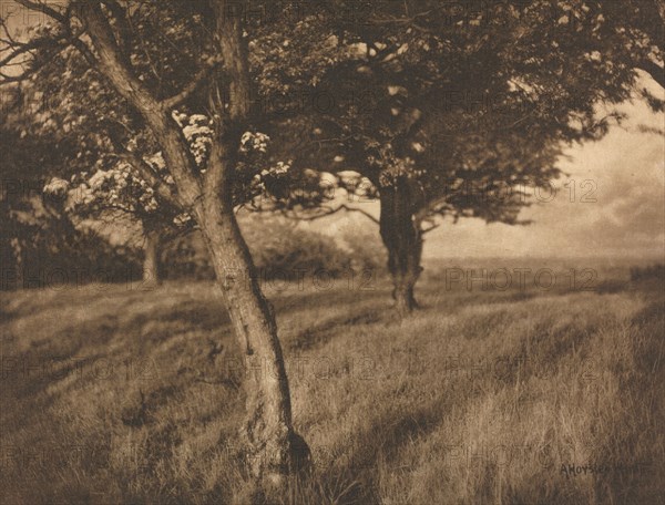 Camera Work: Beyond, 1905. A. Horsley Hinton (British, 1863-1908). Photogravure