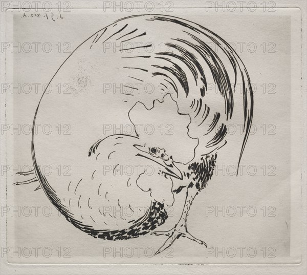 The High-Fired Service: Rooster, c. 1860. Félix Bracquemond (French, 1833-1914). Etching; sheet: 30.3 x 44.8 cm (11 15/16 x 17 5/8 in.); platemark: 20.7 x 24 cm (8 1/8 x 9 7/16 in.)