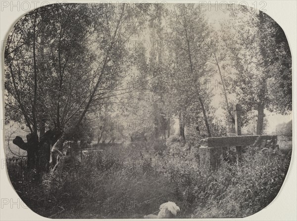 Untitled (Landscape with Dog), c. 1910. Unidentified Photographer. Platinum print; image: 16.8 x 22.2 cm (6 5/8 x 8 3/4 in.); matted: 35.6 x 45.7 cm (14 x 18 in.)