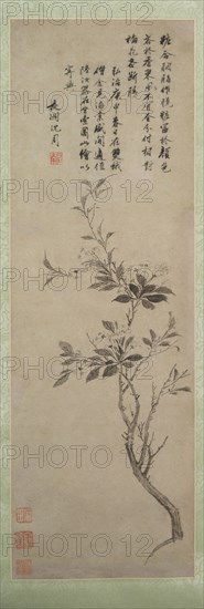 Flowering Crab Apple, 1500. Shen Zhou (Chinese, 1427-1509). Hanging scroll, ink on paper; image: 129.6 x 41.4 cm (51 x 16 5/16 in.).