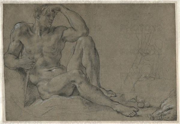 Hercules Resting (recto), 1595-1597. Annibale Carracci (Italian, c. 1560-1609). Black chalk heightened with white, squared in black chalk on right, incised (edges of figure); sheet: 35.5 x 52.4 cm (14 x 20 5/8 in.); secondary support: 36.6 x 53.3 cm (14 7/16 x 21 in.); tertiary support: 38.3 x 55 cm (15 1/16 x 21 5/8 in.).