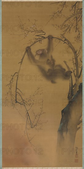 Monkeys in a Cherry Tree, 1615-1868. Mori Sosen (Japanese, 1747-1821). Hanging scroll, mounted and framed, ink and color on silk; framed: 121.7 x 63.5 cm (47 15/16 x 25 in.); overall: 110.5 x 53.4 cm (43 1/2 x 21 in.); with borders: 115.5 x 57 cm (45 1/2 x 22 7/16 in.).