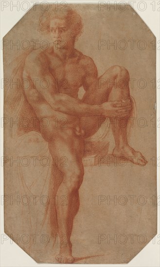 Seated Male Nude, c. 1516-1520. Baccio Bandinelli (Italian, 1493-1560). Red chalk over faint traces of black chalk; sheet: 40 x 23.7 cm (15 3/4 x 9 5/16 in.).