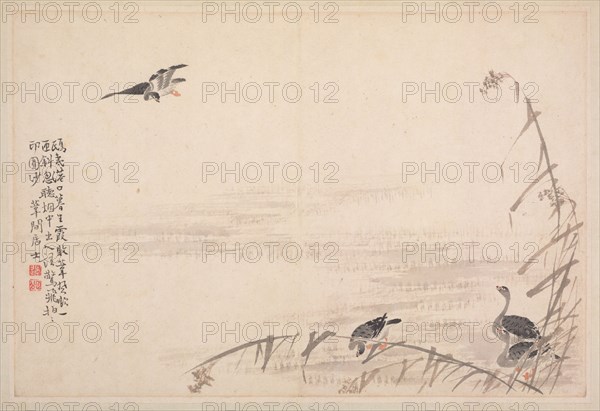 Album of Calligraphy and Paintings, 18th Century. Bian Shoumin (Chinese, 1684-1752). Album leaf; ink and color on paper; overall: 18.5 x 27.5 cm (7 5/16 x 10 13/16 in.).