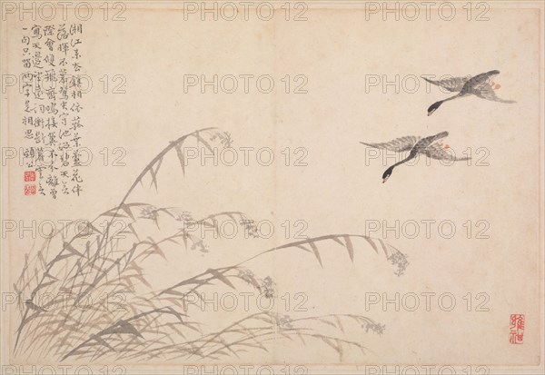 Album of Calligraphy and Paintings, 18th Century. Bian Shoumin (Chinese, 1684-1752). Album leaf; ink and color on paper; overall: 18.5 x 27.5 cm (7 5/16 x 10 13/16 in.).