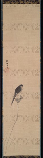 Bird on a Lotus Bud, 1600s. Kano Tan’yu (Japanese, 1602-1674). Hanging scroll, ink on paper; painting only: 89 x 21.5 cm (35 1/16 x 8 7/16 in.); including mounting: 154.5 x 27.5 cm (60 13/16 x 10 13/16 in.).