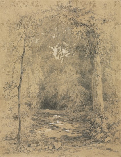 Forest Interior, c. 1870. John Henry Hill (American, 1839-1922). Graphite with white heightened ; sheet: 24.4 x 19 cm (9 5/8 x 7 1/2 in.).
