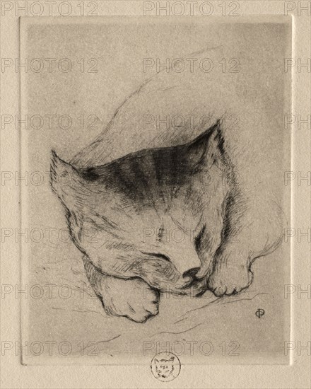 Six Etchings: Head of a Kitten, 1895. Paul Gachet (French, 1828-1909). Etching and drypoint; sheet: 32.3 x 25 cm (12 11/16 x 9 13/16 in.); platemark: 13 x 10 cm (5 1/8 x 3 15/16 in.)
