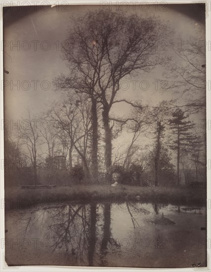Sceaux series #37: The Park at Sceaux [April 1925, 7a.m.], 1925. Eugène Atget (French, 1857-1927). Arrowroot print, gold-toned; image: 22.9 x 17.6 cm (9 x 6 15/16 in.); matted: 50.8 x 40.6 cm (20 x 16 in.)
