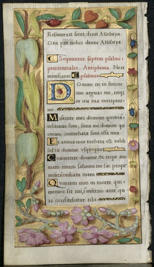 Leaf from a Book of Hours: Penitential Psalms, c. 1530-1535. Noël Bellemare (French, d. 1546), The 1520s Hours Workshop (French). Ink, tempera and liquid gold on vellum; each leaf: 11.2 x 6.4 cm (4 7/16 x 2 1/2 in.)
