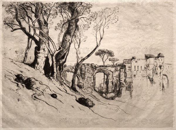 The Olive Trees of the Riviera, 1884. Samuel Colman (American, 1832-1920). Etching; sheet: 35.7 x 48.7 cm (14 1/16 x 19 3/16 in.); image: 28 x 37.7 cm (11 x 14 13/16 in.).