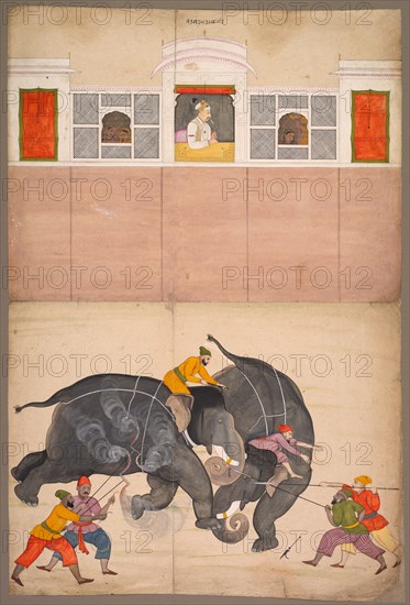 Two Elephants Fighting in a Courtyard Before Muhammad Shah, c. 1730-40. Attributed to Nainsukh (Indian, 1710-1778). Opaque watercolor and gold on paper; overall: 62.5 x 42 cm (24 5/8 x 16 9/16 in.).