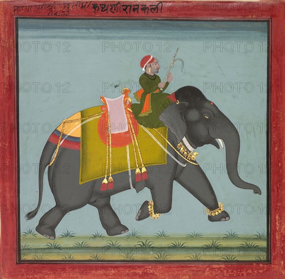 Caparisoned Elephant with a Mahout, dated 1761. India, Rajasthan, Mewar school. Ink and color on paper; image: 20.6 x 21.4 cm (8 1/8 x 8 7/16 in.); sheet with border: 24.1 x 25 cm (9 1/2 x 9 13/16 in.).