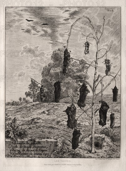 Moles, 1854, printed 1866. Félix Bracquemond (French, 1833-1914), Cadart & Luquet, 79, rue Richelieu. Etching; sheet: 40.3 x 31.3 cm (15 7/8 x 12 5/16 in.); platemark: 27.2 x 20 cm (10 11/16 x 7 7/8 in.)
