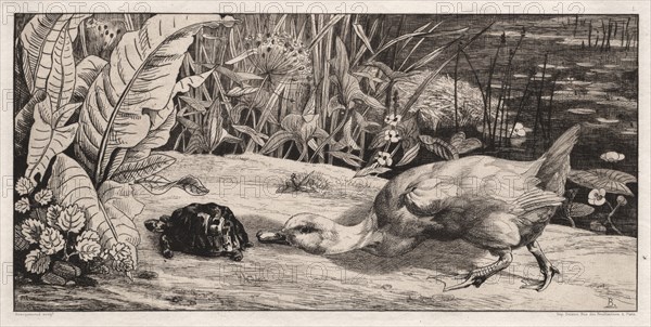 The Unknown, 1862. Félix Bracquemond (French, 1833-1914), A. Cadart & F. Chevalier, rue Richelieu, 66, Paris. Etching and drypoint; sheet: 19 x 32.7 cm (7 1/2 x 12 7/8 in.); platemark: 18.9 x 32.4 cm (7 7/16 x 12 3/4 in.).