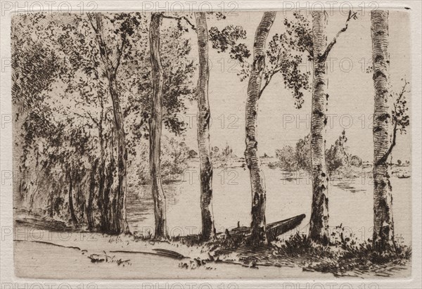 Aspens on the Bank of the Seine. Félix Bracquemond (French, 1833-1914). Etching and drypoint; sheet: 20.1 x 28.8 cm (7 15/16 x 11 5/16 in.); platemark: 10.2 x 15.2 cm (4 x 6 in.)