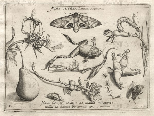 Archetypes and Studies: Death is the line that marks the end of all (Part II, plate 5), 1592. Joris Hoefnagel (Flemish, 1542-1601), after Jacob Hoefnagel (Flemish, 1575-c.1630). Engraving; sheet: 18.6 x 27.1 cm (7 5/16 x 10 11/16 in.); platemark: 15.6 x 20.8 cm (6 1/8 x 8 3/16 in.).