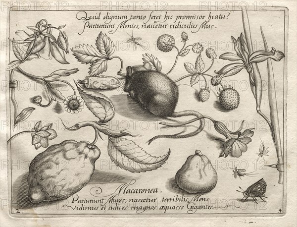 Archetypes and Studies: What can emerge in keeping with such a cavernous promise? (Part IV, plate 2), 1592. Joris Hoefnagel (Flemish, 1542-1601), after Jacob Hoefnagel (Flemish, 1575-c.1630). Engraving; sheet: 18.6 x 27.2 cm (7 5/16 x 10 11/16 in.); platemark: 15.7 x 21.1 cm (6 3/16 x 8 5/16 in.)