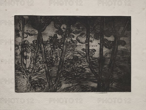 Trees at Night, c. 1894. Armand Séguin (French, 1869-1903). Etching (sugar-lift aquatint?); sheet: 27.2 x 36.3 cm (10 11/16 x 14 5/16 in.); platemark: 16.5 x 25 cm (6 1/2 x 9 13/16 in.)