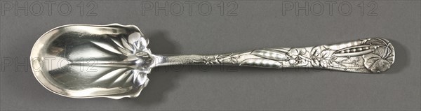 Salad Spoon (Pattern "Vine"), c. 1900. Tiffany and Company (American). Silver; overall: 26.1 cm (10 1/4 in.).