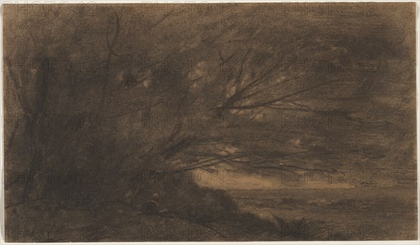 Landscape (The Large Tree), c. 1865-1870. Jean Baptiste Camille Corot (French, 1796-1875). Charcoal with stumping and wet brushwork; sheet: 24.2 x 41.9 cm (9 1/2 x 16 1/2 in.).