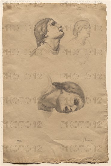 Four Studies of the Head of a Young Italian Woman, 1856. Edgar Degas (French, 1834-1917). Graphite; sheet: 46.2 x 30.7 cm (18 3/16 x 12 1/16 in.).