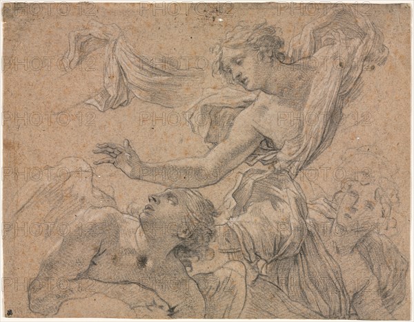 Studies of Angels (recto); Panthea before Cyrus? (verso), 1655-1660?. Michel Dorigny (French, 1617-1665). Black chalk heightened with white chalk; sheet: 20 x 25.7 cm (7 7/8 x 10 1/8 in.).