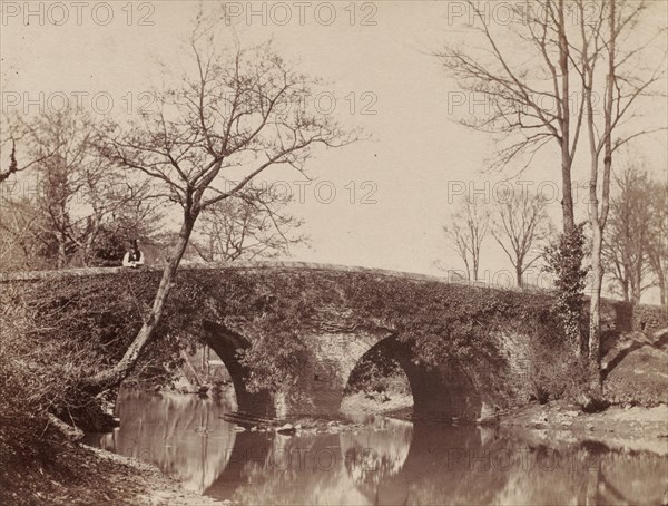 The Country Bridge (Staplylton Bridge, Bristol), c. 1854- 1857. John Dillwyn Llewelyn (British, 1810-1882). Albumen print; image: 15.4 x 20.2 cm (6 1/16 x 7 15/16 in.); paper: 25.8 x 35.8 cm (10 3/16 x 14 1/8 in.); matted: 40.6 x 50.8 cm (16 x 20 in.)