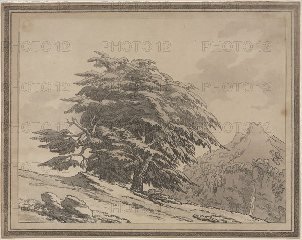 Delineations of the General Character Ramifications and Foliage of Forest Trees: Cedar, 1789. John Robert Cozens (British, 1752-1797). Softground etching and aquatint; sheet: 24.3 x 31.7 cm (9 9/16 x 12 1/2 in.); image: 24.3 x 31.7 cm (9 9/16 x 12 1/2 in.); secondary support: 28.1 x 35.5 cm (11 1/16 x 14 in.)