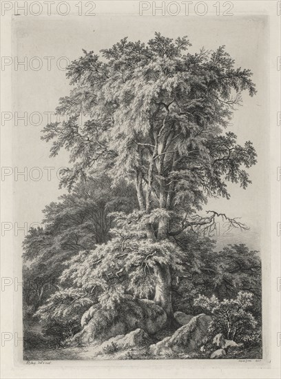 Studies Drawn and Engraved after Nature: The Beach, Fontainbleau (Études dessinées et Gravées D'après nature: Le hêtre, Fontainebleau), 1840. Eugene Bléry (French, 1805-1886). Lithograph on chine colle; sheet: 44.7 x 30.7 cm (17 5/8 x 12 1/16 in.); image: 25.9 x 18.9 cm (10 3/16 x 7 7/16 in.).