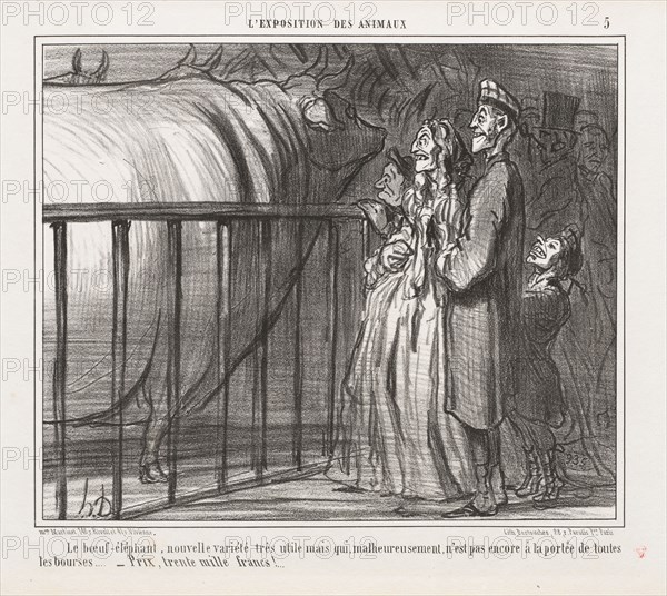 Exposition of Animals : Pl. 5, The Cow-Elephant, New Variety (L'Exposition des Animaux: Pl. 5, Le bœuf-éléphant, nouvelle variété),. Honoré Daumier (French, 1808-1879), Mon. Martinet, r. Rivoli, et 41 r. Vivienne. Lithograph; sheet: 27.8 x 35.8 cm (10 15/16 x 14 1/8 in.); image: 21.7 x 26 cm (8 9/16 x 10 1/4 in.).