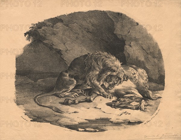Horse Devoured by a Lion, 1823. Théodore Géricault (French, 1791-1824), Gihaut. Lithograph on chine collé; sheet: 22.8 x 29.7 cm (9 x 11 11/16 in.); image: 19.3 x 23.8 cm (7 5/8 x 9 3/8 in.)