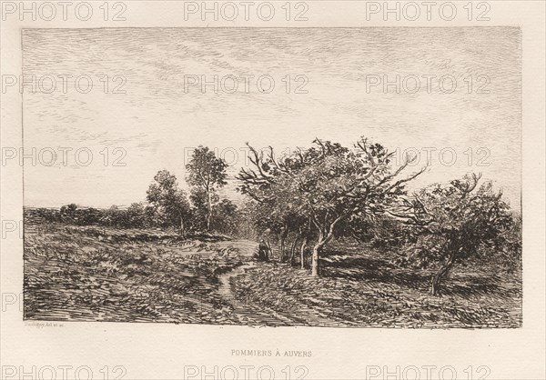 Apple Trees at Auvers (Pommiers à Auvers), 1877. Charles François Daubigny (French, 1817-1878). Etching; sheet: 31 x 42.6 cm (12 3/16 x 16 3/4 in.); platemark: 19 x 27.3 cm (7 1/2 x 10 3/4 in.).