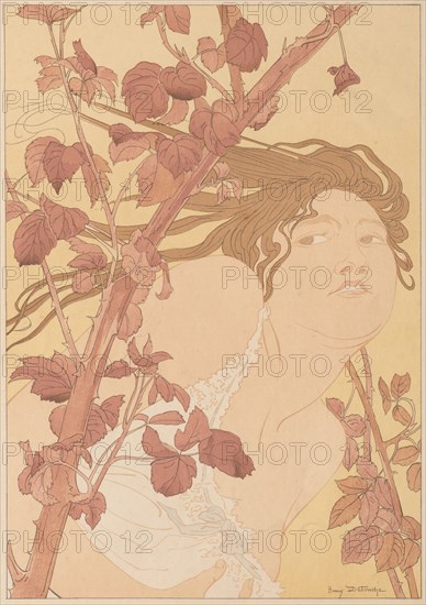 Published in L'Estampe Moderne, no. 12, April 1898: In the Brambles , 1898. Henri Detouche (French, 1854-1913). Color lithograph; sheet: 40.4 x 30.5 cm (15 7/8 x 12 in.); image: 34.9 x 24.5 cm (13 3/4 x 9 5/8 in.).