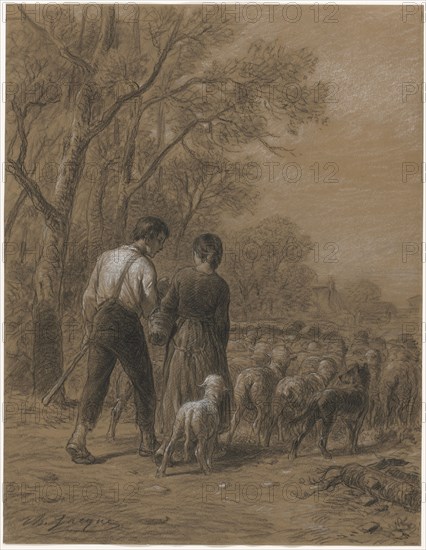 Bringing in the Sheep, 1800s. Charles-Émile Jacque (French, 1813-1894). Black chalk heightened with white chalk; sheet: 40.9 x 31.6 cm (16 1/8 x 12 7/16 in.).