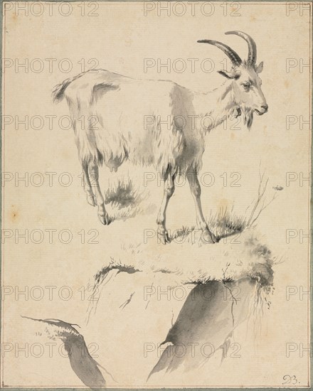 Study of a Goat, 1700s. Jean Jacques de Boissieu (French, 1736-1810). Black ink and gray ink wash and point of brush work; sheet: 24.1 x 19.5 cm (9 1/2 x 7 11/16 in.).