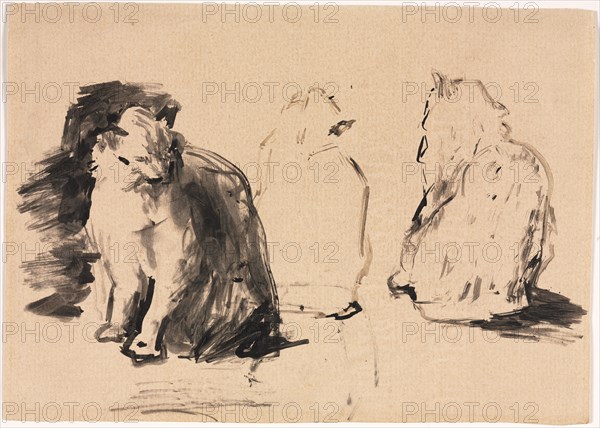 Cats (recto). Théodule Ribot (French, 1823-1891). Black ink applied with pen (reed) and brush ; sheet: 23.5 x 17.1 cm (9 1/4 x 6 3/4 in.).