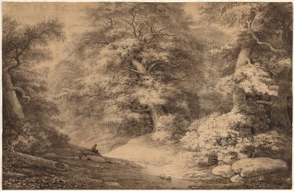 A Beech Wood with a Resting Traveler, 1803. Christoph Nathe (German, 1753-1806). Brown and gray wash with extensive point of brush work, with traces of black chalk underdrawing on ivory wove paper; sheet: 37.5 x 57.6 cm (14 3/4 x 22 11/16 in.).