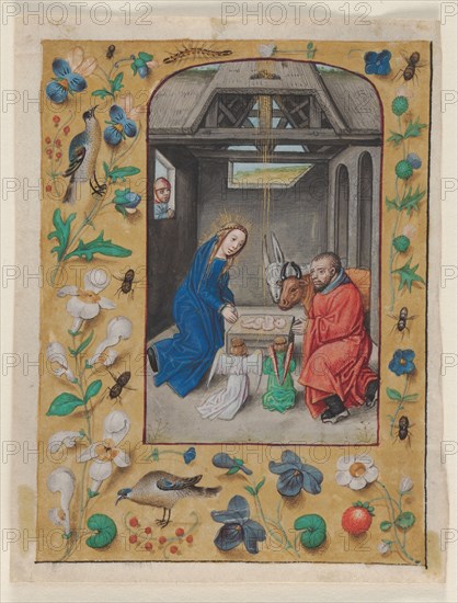 Leaf Excised from a Book of Hours: The Nativity, c. 1480. Master of the First Prayerbook of Maximillian (Flemish, c. 1444-1519). Ink, tempera and liquid gold on vellum; leaf: 10.8 x 8.2 cm (4 1/4 x 3 1/4 in.)