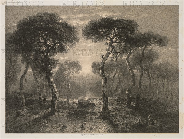 Oeuvres de A. Calame, No. 13: Forêt de Sierre en Valais, 1843 (published 1851). Jacomme & Cie. R. de Lancry, 12, Paris, Alexandre Calame (Swiss, 1810-1864), F. Delarue, r. J.J. Rouseau, 10, Paris. Lithograph; sheet: 36.7 x 54 cm (14 7/16 x 21 1/4 in.); image: 17.5 x 23.8 cm (6 7/8 x 9 3/8 in.)