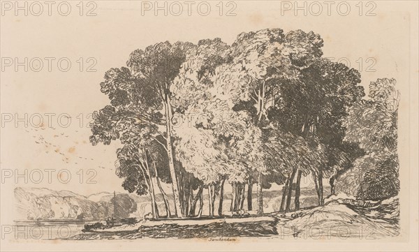 Liber Studiorum: Plate 3, Trees near Twickenham, 1838. John Sell Cotman (British, 1782-1842). Softground etching, from a bound volume containing 48 plates; sheet: 32 x 49.7 cm (12 5/8 x 19 9/16 in.); platemark: 17.8 x 30.4 cm (7 x 11 15/16 in.).