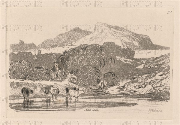 Liber Studiorum: Plate 21, View in North Wales, 1838. John Sell Cotman (British, 1782-1842). Softground etching, from a bound volume containing 48 plates; sheet: 49.6 x 32 cm (19 1/2 x 12 5/8 in.); platemark: 7.5 x 11.4 cm (2 15/16 x 4 1/2 in.)