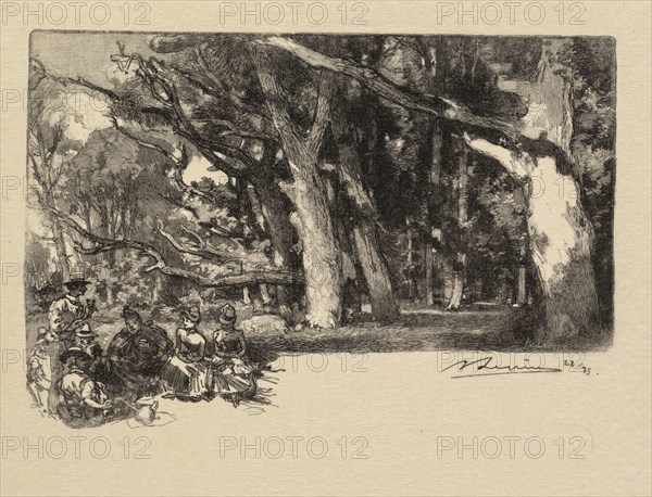 Fontainebleau Forest: Noon under the Trees (La Forêt de Fontainebleau: Midi sous bois), 1890. Auguste Louis Lepère (French, 1849-1918), A. Desmoulins, Published in Revue Illustrée, 1887-90. Wood engraving from bound volume of 34 ; image: 11.1 x 16.4 cm (4 3/8 x 6 7/16 in.)