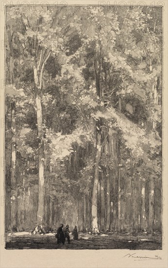 Fontainebleau Forest: Morning, Crossroads of the Route of the Forts de Marlotte (La Forêt de Fontainebleau: Le Matin, Carrefour des Fort de Marlotte), 1890. Auguste Louis Lepère (French, 1849-1918), A. Desmoulins, Published in Revue Illustrée, 1887-90. Wood engraving from bound volume of 34 ; image: 23.5 x 15.2 cm (9 1/4 x 6 in.).